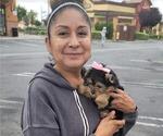 Small #3 Breeder Profile image