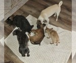Small #8 Breeder Profile image