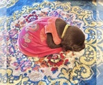 Small #28 Breeder Profile image