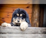 Small #4 Breeder Profile image
