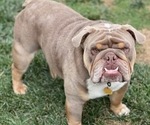 Small #14 Breeder Profile image