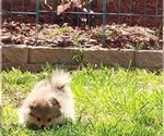 Small #25 Breeder Profile image