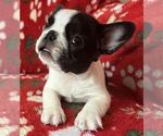 Small #15 Breeder Profile image