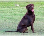 Small #5 Breeder Profile image