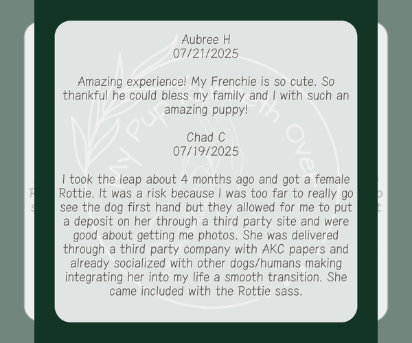 Medium Photo #6  Breeder Profile in GOSHEN, IN, USA