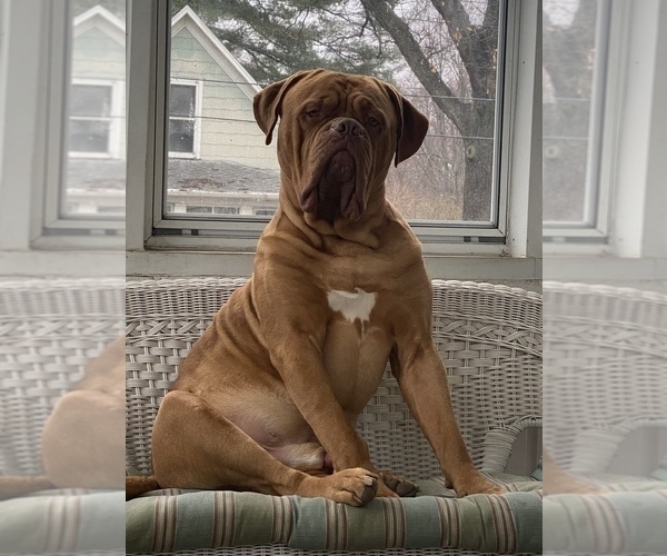 Medium Photo #1  Breeder Profile in WARSAW, IN, USA
