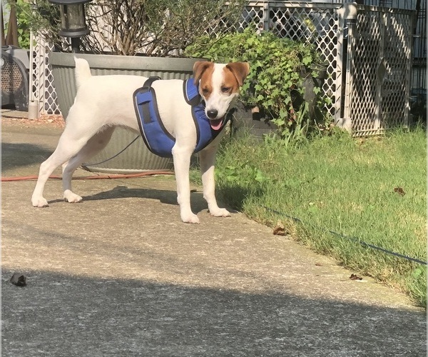 Medium Photo #1  Breeder Profile in MABLETON, GA, USA
