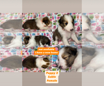 Small #1 Breeder Profile image