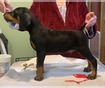 Small #7 Breeder Profile image
