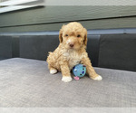 Small #13 Breeder Profile image