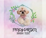 Small #1 Breeder Profile image