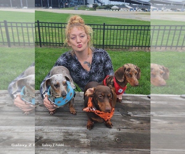 Medium Photo #1  Breeder Profile in NORFOLK, VA, USA