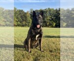 Small #5 Breeder Profile image