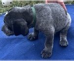 Small #11 Breeder Profile image
