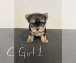 Small #2 Breeder Profile image