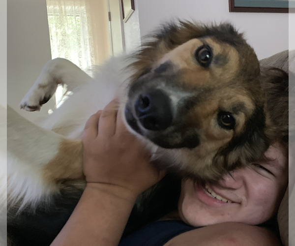 Medium Photo #3  Breeder Profile in PARIS, TX, USA