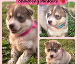Small #2 Breeder Profile image