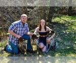 Small breeder photo