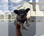 Small #18 Breeder Profile image