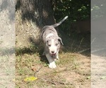 Small #19 Breeder Profile image