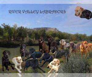 Medium Breeder Profile Photo