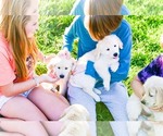 Small #15 Breeder Profile image