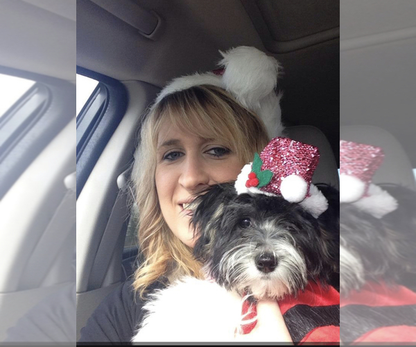 Medium Photo #1  Breeder Profile in BUFORD, GA, USA