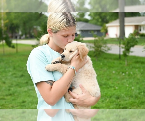Medium Photo #20  Breeder Profile in OTTUMWA, IA, USA