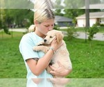 Small #19 Breeder Profile image