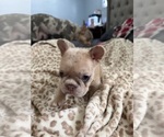 Small #6 Breeder Profile image