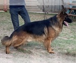 Small #2 Breeder Profile image