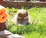 Small #24 Breeder Profile image