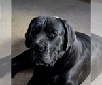 Small #22 Breeder Profile image