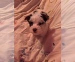 Small #8 Breeder Profile image