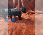 Small #14 Breeder Profile image