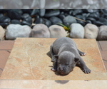 Small #3 Breeder Profile image