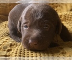 Small #4 Breeder Profile image