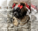 Small #7 Breeder Profile image