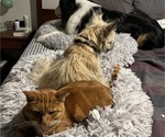 Small #35 Breeder Profile image