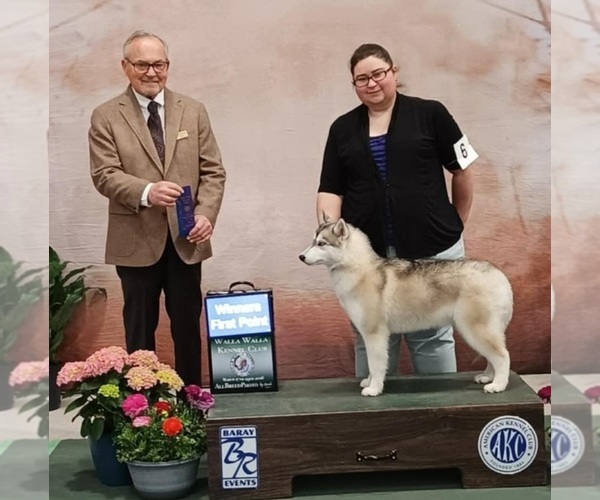 Medium Photo #1  Breeder Profile in HEPPNER, OR, USA