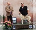 Small breeder photo