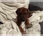 Small #10 Breeder Profile image