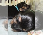 Small #24 Breeder Profile image