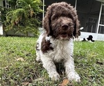 Small #3 Breeder Profile image