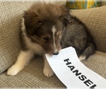 Small #6 Breeder Profile image