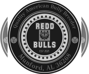American Bully Dog Breeder near OXFORD, AL, USA