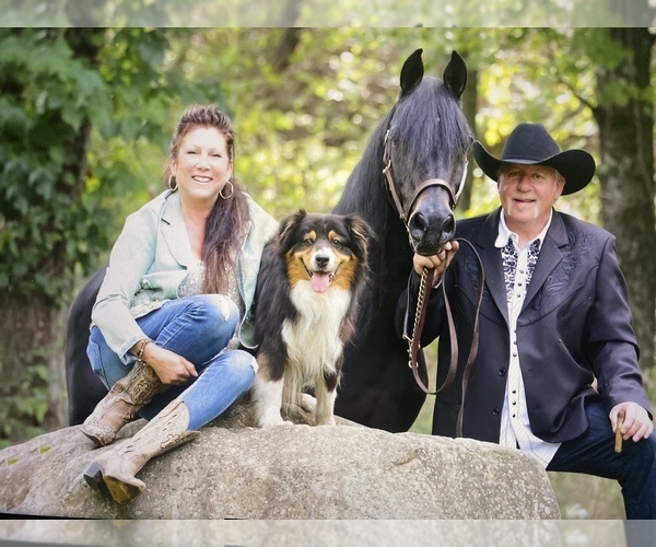 Medium Photo #29  Breeder Profile in BETHANY, CT, USA