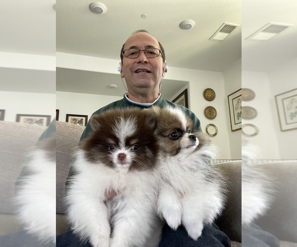 Medium Photo #1  Breeder Profile in HAYWARD, CA, USA