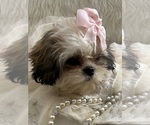 Small #12 Breeder Profile image