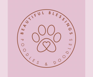 Medium Breeder Profile Photo